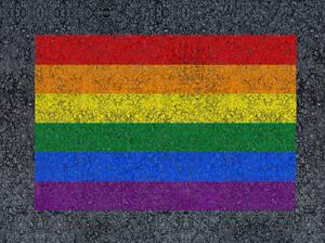 Art Photography Rainbow drawn LGBT pride flag, mirsad sarajlic, (40 x 30 cm)