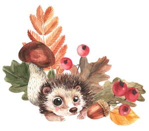 Photography Corner composition of hedgehog, mushrooms, falling, Tatyana Apt, (40 x 40 cm)