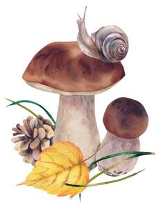 Photography Porcini mushrooms with autumn leaves, snail, Marina Skryzhova, (40 x 40 cm)