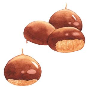 Photography Watercolor Chestnuts, saemilee, (40 x 40 cm)