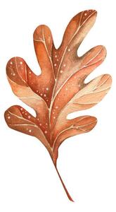 Art Photography A beautiful autumn watercolor oak leaf, Lidiia Biktimirova, (40 x 40 cm)