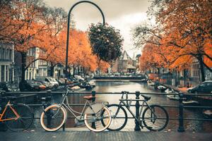 Photography View of canal in Amsterdam during Autumn Season, Umar Shariff Photography, (40 x 26.7 cm)