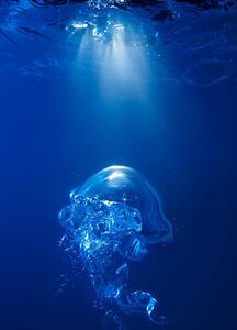 Art Photography Bubble on spot light in blue water, Biwa Studio, (30 x 40 cm)