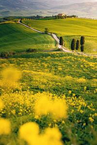Photography Tuscany, springtime in the afternoon. Path,, Francesco Riccardo Iacomino, (26.7 x 40 cm)