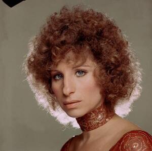 Art Photography Barbra Streisand, (40 x 40 cm)