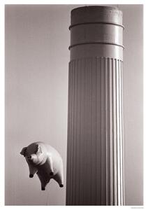 Poster Pink Floyd - Animals – Inflatable pig 1976