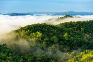 Photography Beautiful mist over green forest on mountain., NirutiStock