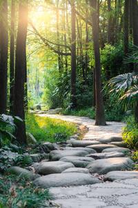 Art Photography Stone road in magic forest leads to haze of light, MarsYu, (26.7 x 40 cm)