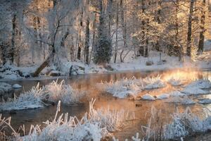 Photography Morning by a frozen river in winter, Schon