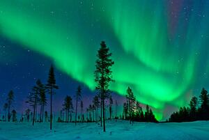 Photography Aurora Borealis Northern Lights Sweden, Dave Moorhouse, (40 x 26.7 cm)