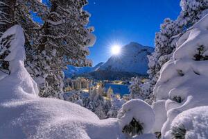 Photography Snowy forest lit by moon in winter, Switzerland, Roberto Moiola / Sysaworld, (40 x 26.7 cm)