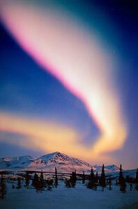 Art Photography USA, Alaska, Alaskan Range, Aurora Borealis, Johnny Johnson, (26.7 x 40 cm)