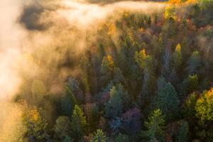 Art Photography Sunrise and morning mist in the forest, Baac3nes, (40 x 26.7 cm)