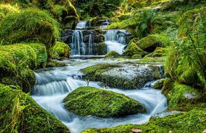 Photography Scenic view of waterfall in forest,Newton, Ian Douglas / 500px, (40 x 26.7 cm)