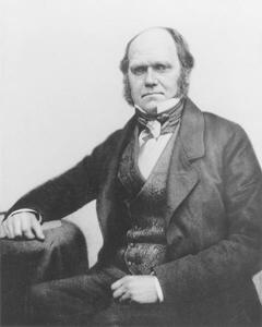 Art Photography Portrait of Charles Darwin, 1854, English Photographer,, (30 x 40 cm)