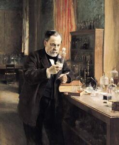Photography Louis Pasteur in his Laboratory, 1885, Edelfelt, Albert Gustaf Aristides, (35 x 40 cm)