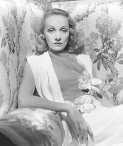 Photography Marlene Dietrich, (35 x 40 cm)