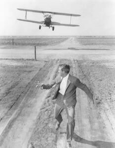 Art Photography Cary Grant, (30 x 40 cm)