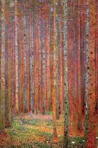 Poster Gustav Klimt - Fir forest
