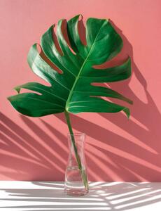 Illustration Monstera leaves in glass jug with, HAKINMHAN, (30 x 40 cm)