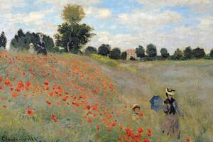 Poster Claude Monet - Poppies, (91.5 x 61 cm)