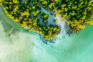 Photography Overhead view of a tropical mangrove lagoon, Roberto Moiola / Sysaworld, (40 x 26.7 cm)