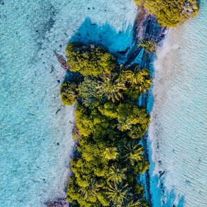 Photography Aerial shot of tropical island, Maldives, graphixel, (40 x 40 cm)