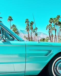Art Photography Teal Thunderbird in Palm Springs, Tom Windeknecht, (30 x 40 cm)