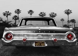 Photography Ford Galaxie 500XL, Larry Butterworth, (40 x 30 cm)