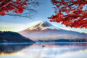 Photography Fuji Mountain in Autumn, DoctorEgg