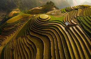 Photography Mu Cang Chai Vietnam, Dao Tan Phat