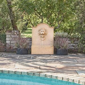 Outdoor Luxury Lion Water Feature Sandstone