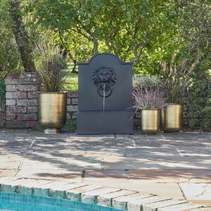 Outdoor Luxury Lion Water Feature Black