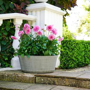 Matlock Outdoor Oval Planter Grey