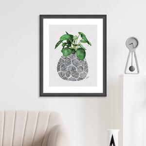 The Art Group Chinese Money Plant Framed Print Green