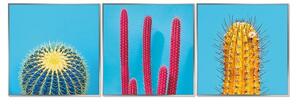 Acrylic Framed Cactus Pictures (Set of Three)