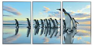 Acrylic Framed Penguin March Pictures (Set of Three)