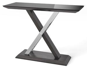 Xoteya Glass Rectangular Console Table With Steel Base In Black