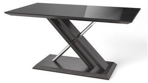 Xoteya Glass Rectangular Dining Table With Steel Base In Black