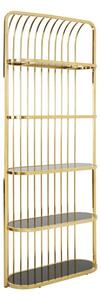 Fafnir Cage Design Black Glass Bookshelf With Gold Frame