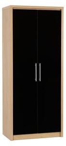 Samaira Wardrobe In Black High Gloss With 2 Doors