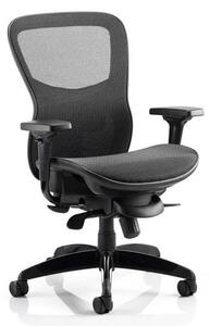 Stealth Shadow Ergo Fabric Office Chair In Black Mesh Seat