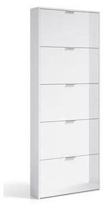 Adonia Wooden Shoe Storage Cabinet With 5 Flap Doors In White