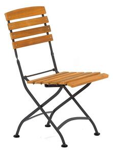 Noah Acacia Wood Folding Side Chair With Steel Frame