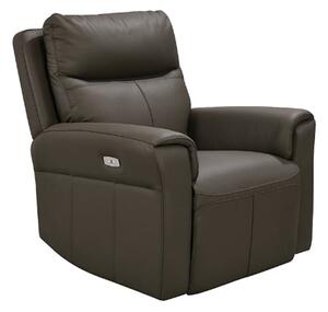 Raivis Leather Electric Recliner Armchair In Ash