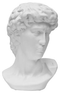 Visalia Ceramic David Bust Sculpture In White