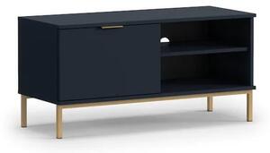 Pavia Wooden TV Stand With 1 Door In Navy