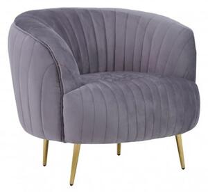 Florino Upholstered Velvet Armchair With Gold Legs In Grey