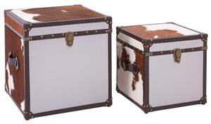 Kensick Wooden Set Of 2 Storage Trunks In Brown And White