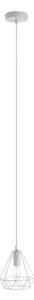 Belika Metal Geometric Wire Frame Pendant Light In White
